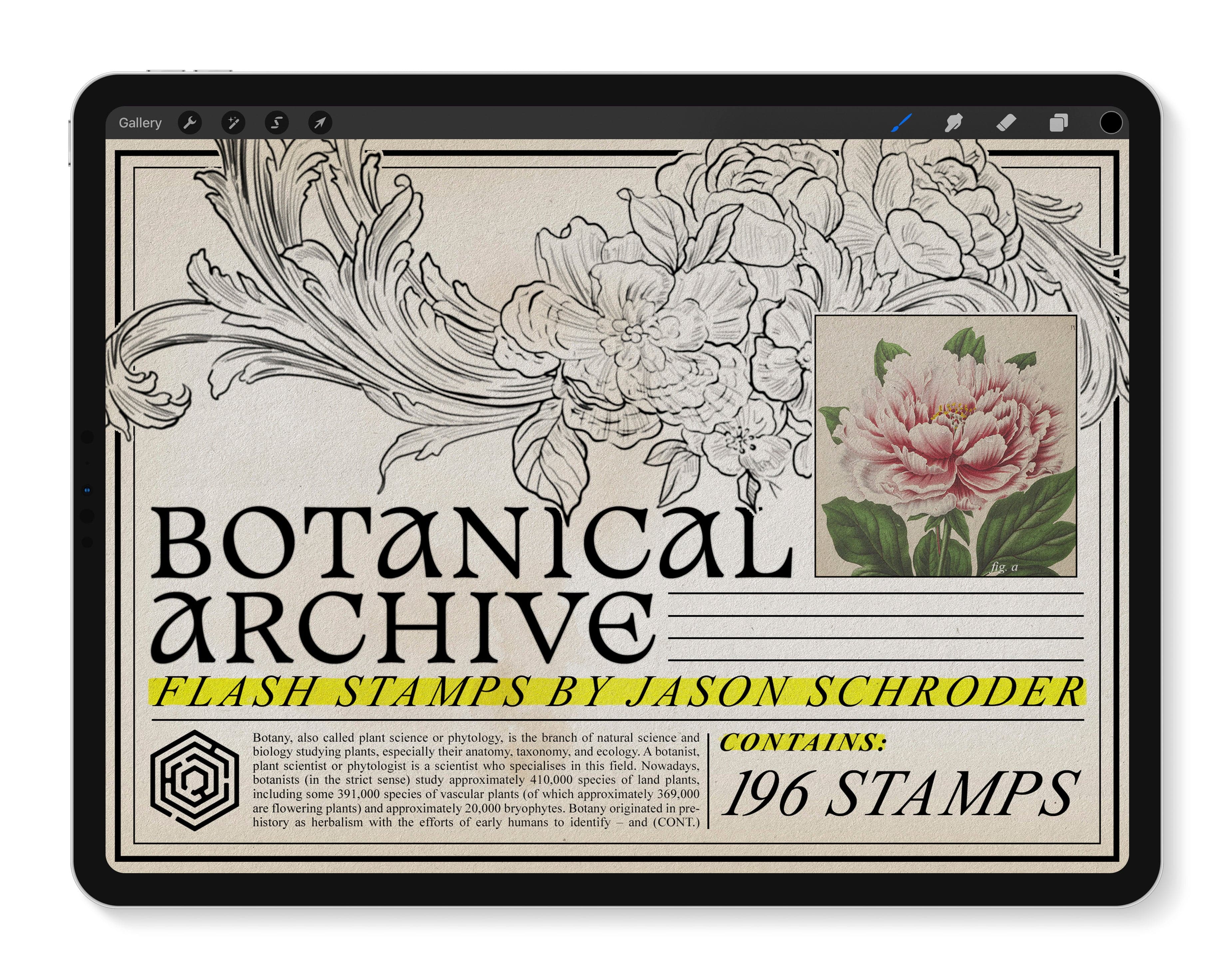 Flash Stamps - Botanical Archive - Tattoo Smart