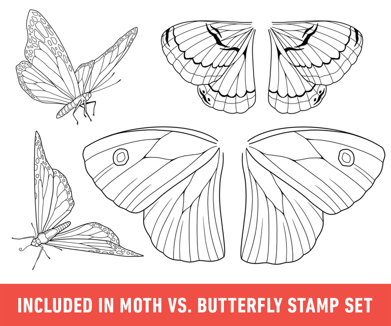 Flash Stamps - Moth vs. Butterfly - Tattoo Smart