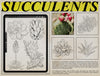 Flash Stamps - Botanical Archive - Tattoo Smart