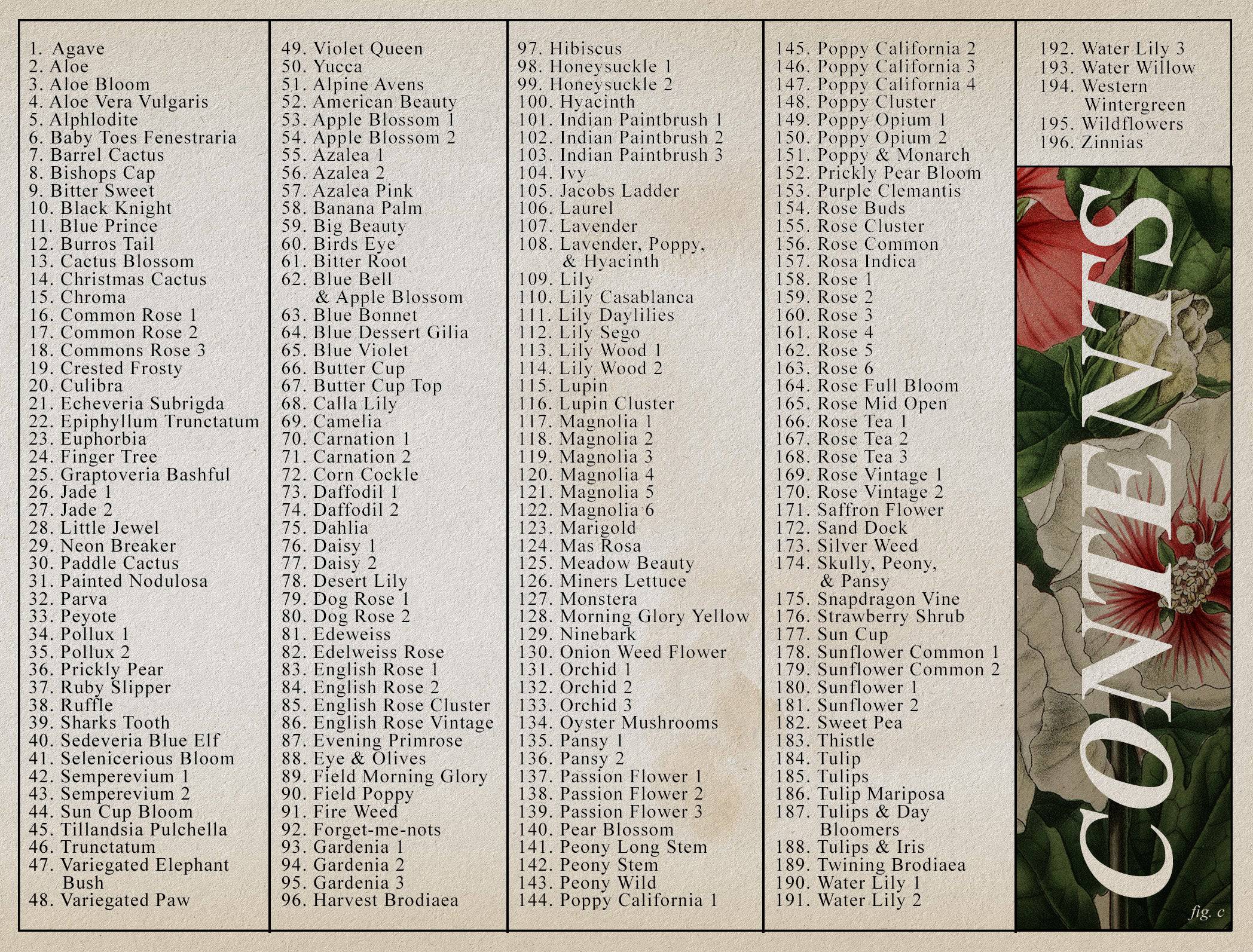 Flash Stamps - Botanical Archive - Tattoo Smart