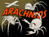 NeoTrad Bug Tattoos | Tattoo Smart