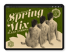 Flash Stamps - Spring Mix Vol. 1 - Tattoo Smart