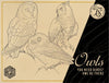 Flash Stamps - The Aviary - Tattoo Smart