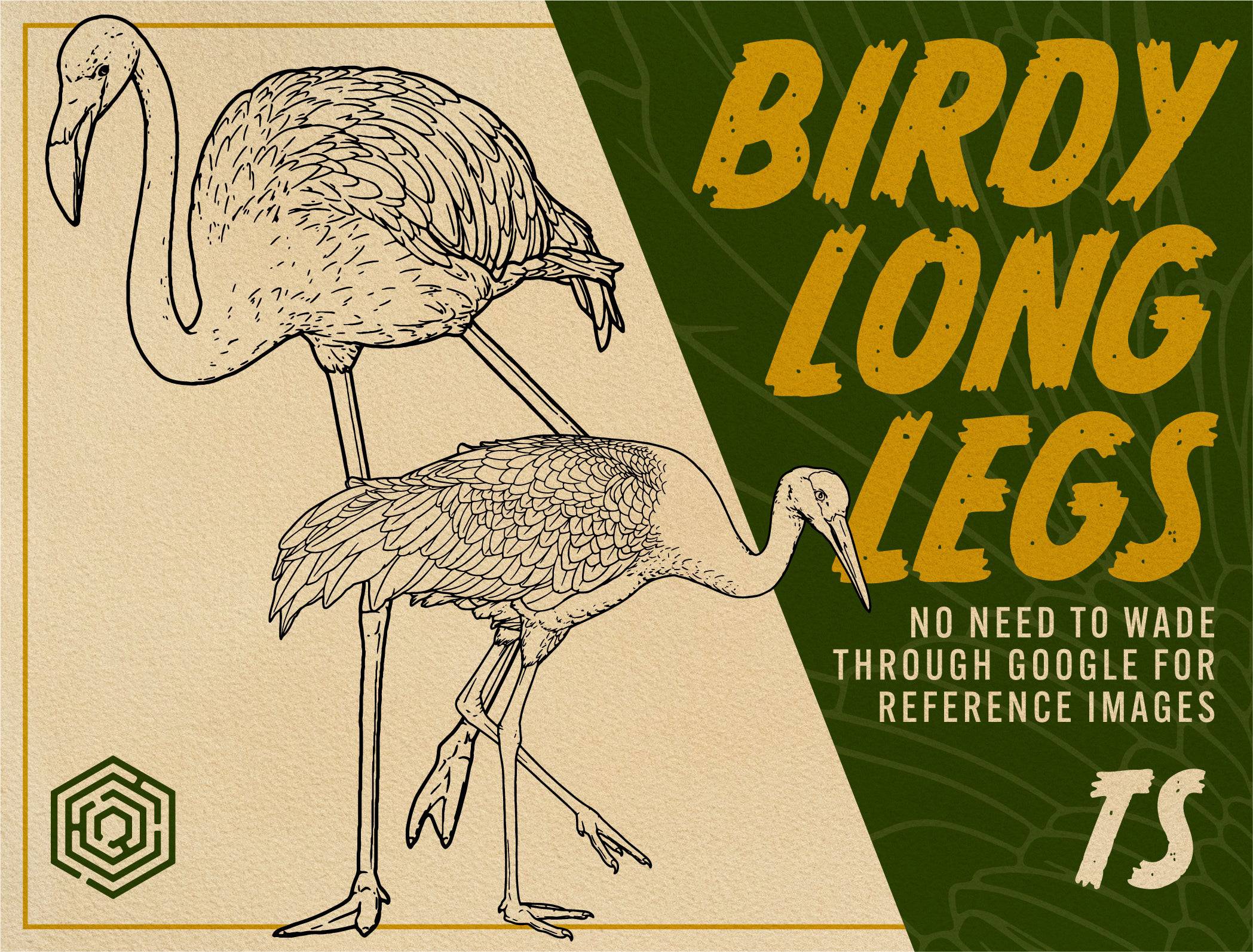 The Lost Aviary - Tattoo Smart