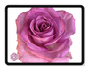 eBook - Roses in the Void - Tattoo Smart